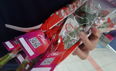 Dada a largada para a quarta edição do Projeto Elas (VÍDEO)