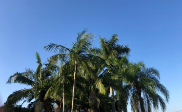 Domingo de tempo firme e quente na região
