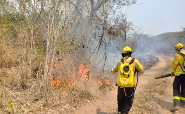 Corpo de Bombeiros alerta para o aumento de incêndios em vegetação