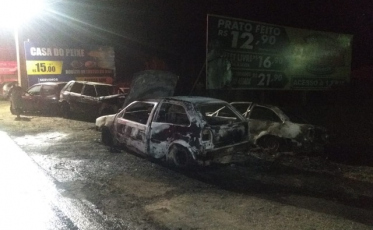 Três veículos pegam fogo às margens da BR-101