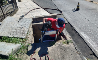 Cachorro é resgatado de tubulação de esgoto