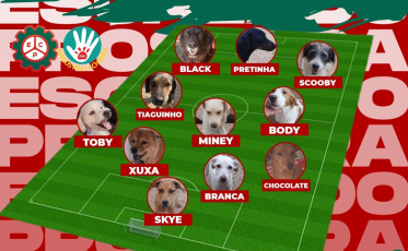 Próspera escala “Feras em Campo” em apoio a causa animal