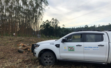 Serviço de fornecimento de energia reestabelecido em Urussanga