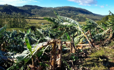 Rajadas de vento causam estragos no sul de Santa Catarina (FOTOS E VÍDEO)