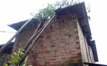 Árvore cai sobre casa em Criciúma