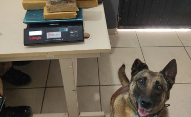 Trio é preso por tráfico de drogas em Içara