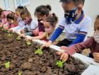 Secretaria de Educação de Balneário Rincão lança projeto “Uma horta em cada canto”