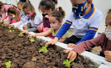 Secretaria de Educação de Balneário Rincão lança projeto “Uma horta em cada canto”