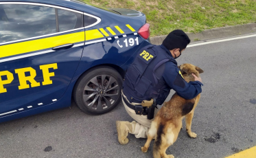 Policiais salvam cadela abandonada na BR-101