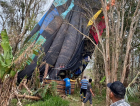 Balões fazem pouso forçado em Praia Grande: ex-BBB estava em um deles