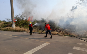 Incêndio de grandes proporções em vegetação é combatido pelos Bombeiros