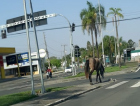 Cavalo solto assusta motoristas na Avenida Centenário