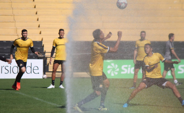 A uma vitória da classificação, Tigre recebe o Botafogo