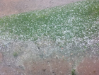 Municípios da região registram chuva de granizo (VÍDEO)