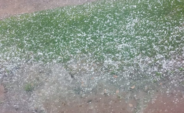 Municípios da região registram chuva de granizo (VÍDEO)