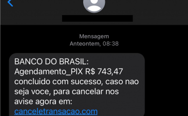 Atenção ao novo golpe utilizando o PIX