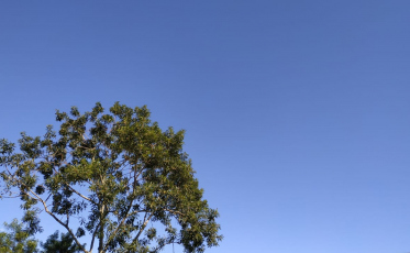 Domingo de sol e chuvas de verão no sul catarinense 