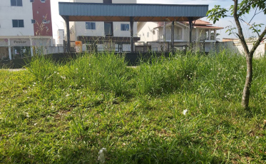 Moradores reclamam de grama alta que tomou conta da praça da Santa Augusta