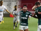Palmeiras e Santos disputam o título da Libertadores