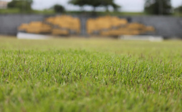 Primeiro campo revitalizado do CT do Tigre deve ser entregue na semana que vem