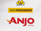 Criciúma anuncia quinto patrocinador no uniforme