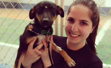 Nova Veneza realiza 11° Mutirão de Castração