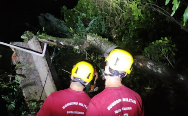Árvore cai sobre casa em Criciúma