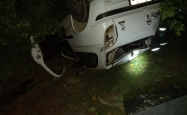 Carro capota com quatro passageiros em rodovia