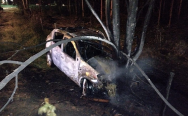 Carro pega fogo após colidir contra árvore
