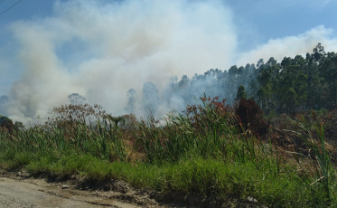 Incêndio em turfa volta a atingir Araranguá e fumaça chega em Criciúma (VÍDEO)
