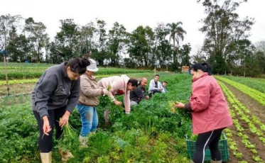 Prefeitura de Cocal do Sul abre chamada pública para merenda escolar