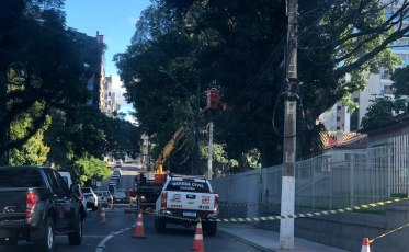 Preocupação com ventos fortes: Defesa Civil realiza poda de árvores em Criciúma