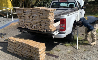 Ação da PRF intercepta quase 300 quilos de maconha (FOTOS e VÍDEO)