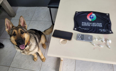 Cadela policial Maze encontra drogas durante ocorrência em Criciúma