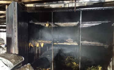 Incêndio destrói estufa de fumo em Urussanga