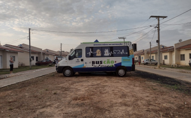 Içara: Em 21 ações BusCão já atendeu 578 animais