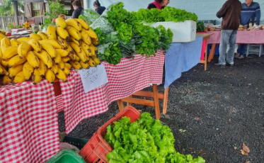 Nova Veneza: Feira da Agricultura Familiar é realizada nesta sexta-feira