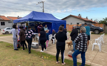 Içara: BusCão castra 28 animais no bairro Esplanada