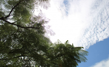 Calor deve ficar ainda mais forte nos próximos dias