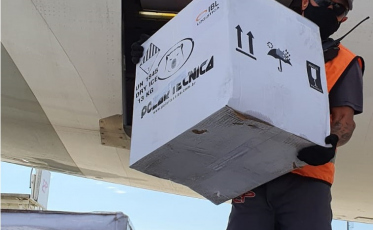 Covid-19: Confira quantas doses de vacina para crianças a região vai receber