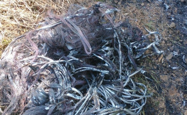 Dois homens são presos por furtar fios de cobre