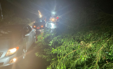 Poste de energia e árvores obstruem rodovia em Urussanga