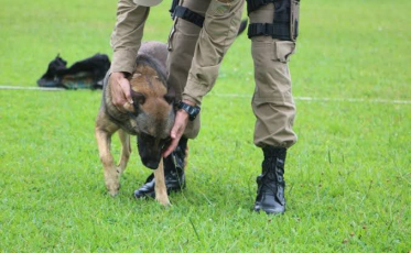 Canil do 9º BPM celebra 19 anos de atividades