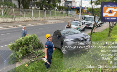 Após derrapar em poça de óleo, carro colide em árvore no Pinheirinho (FOTOS E VÍDEO)