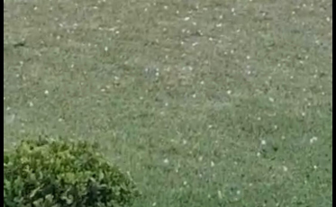 Municípios do Sul registram granizo nesta sexta-feira (VÍDEOS E FOTOS)