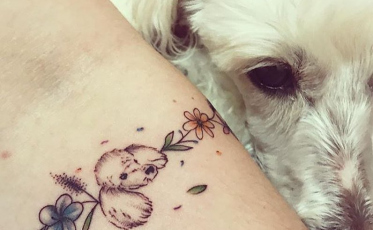 Projeto Tattoo Solidária irá arrecadar ração para ONGs 