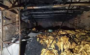 Incêndio destrói estufa de fumo em Içara (FOTOS)