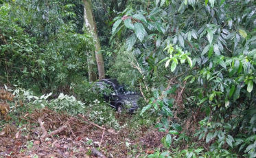 Veículo cai em ribanceira e fica preso em árvore na SC-447