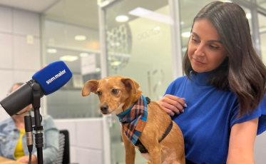 Do Avesso: Saiba como funcionam os condomínios de cães (ÁUDIO)
