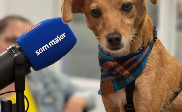 Do Avesso: Saiba como funcionam os condomínios de cães (ÁUDIO)